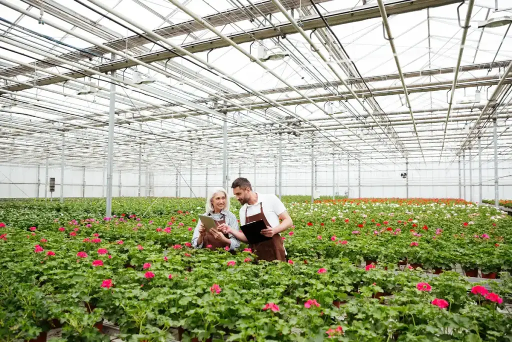 pvc tube greenhouse netherlands