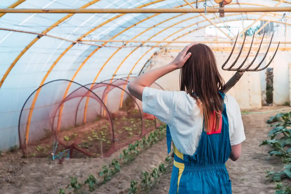 diy greenhouse plastic tubing netherlands