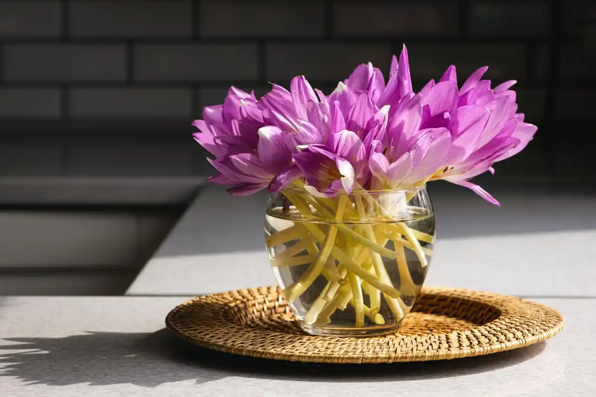 dutch copper coin vase fresh flowers
