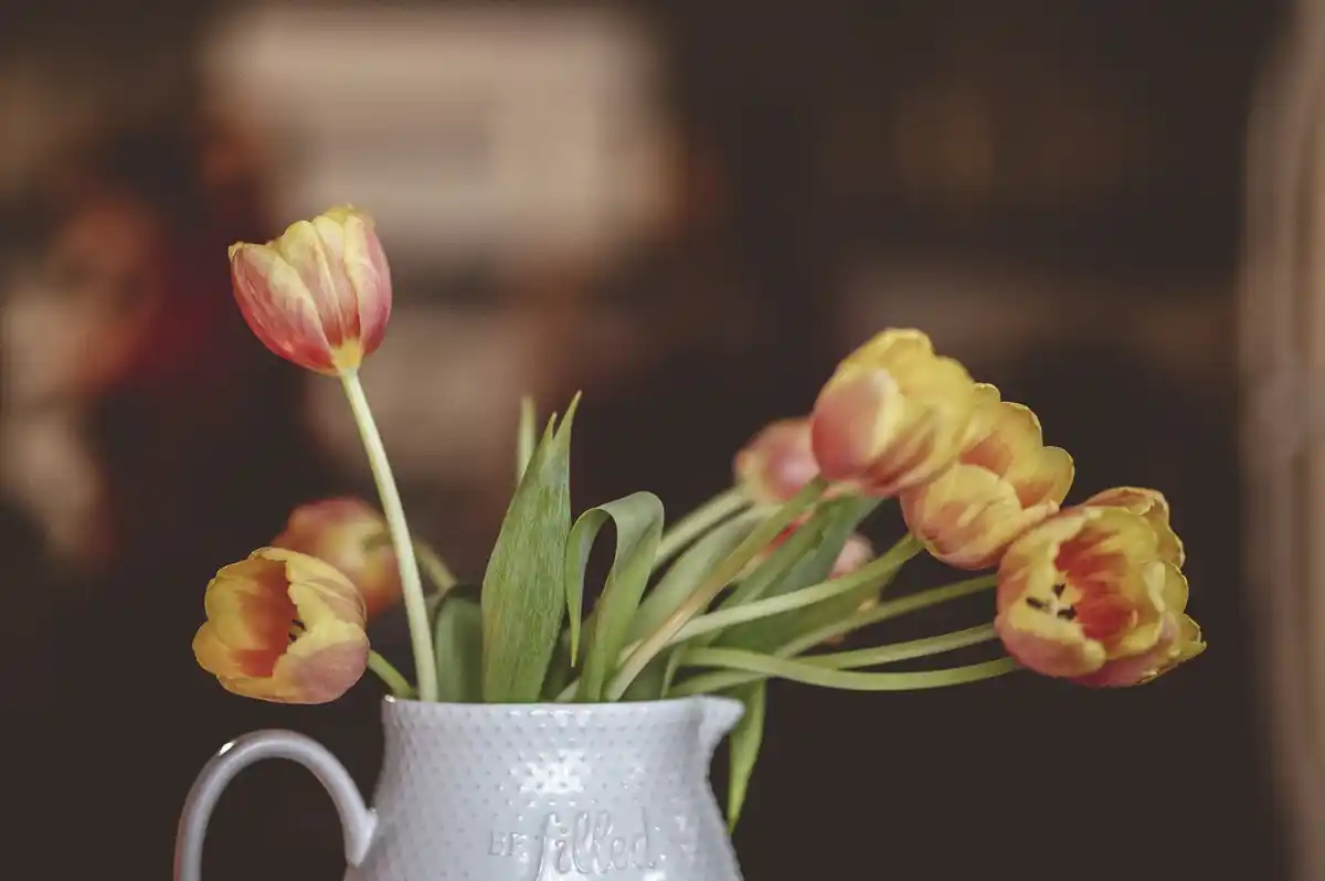 closeup old copper coin in glass vase with fresh flowers dutch style