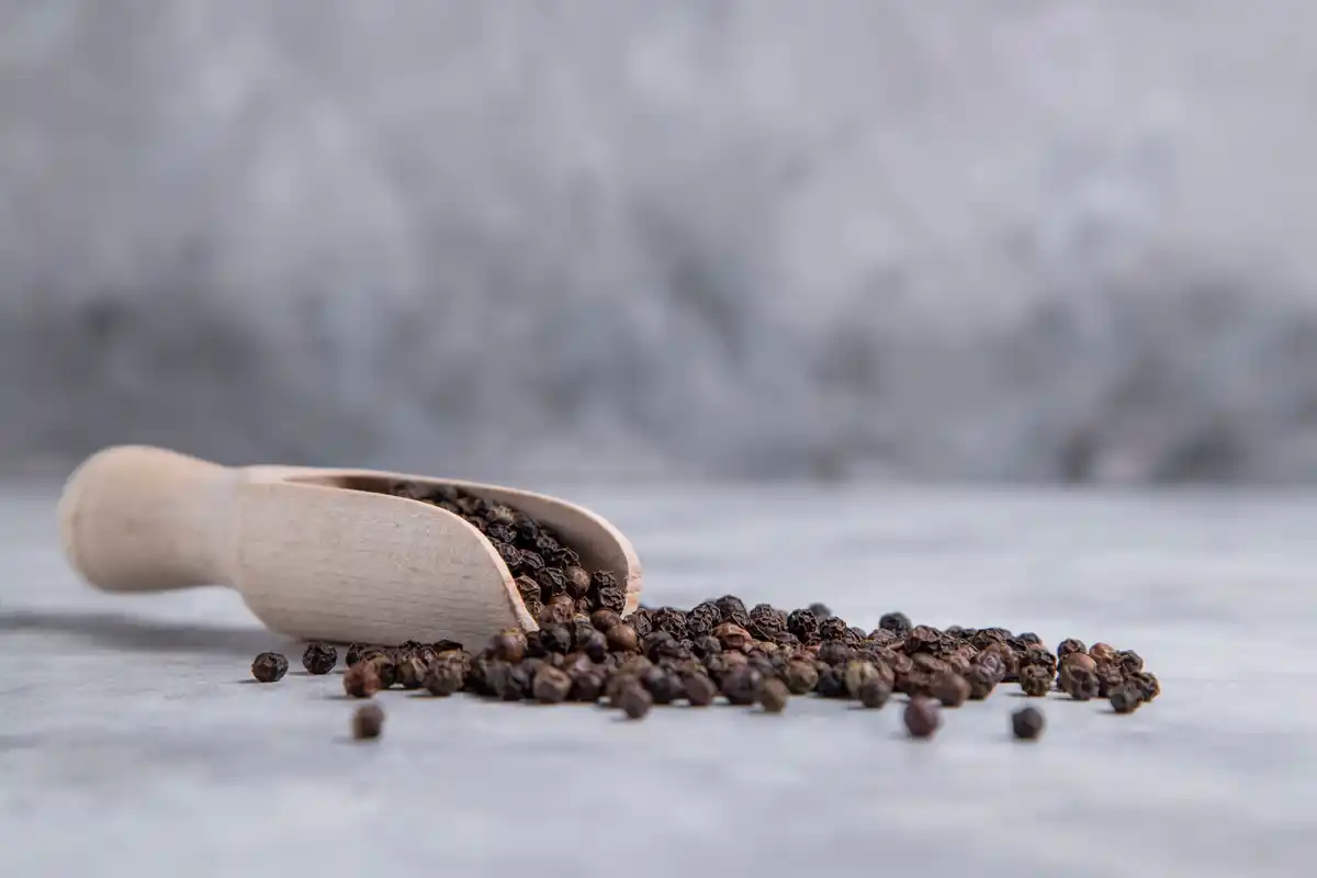 black pepper pest control kitchen netherlands