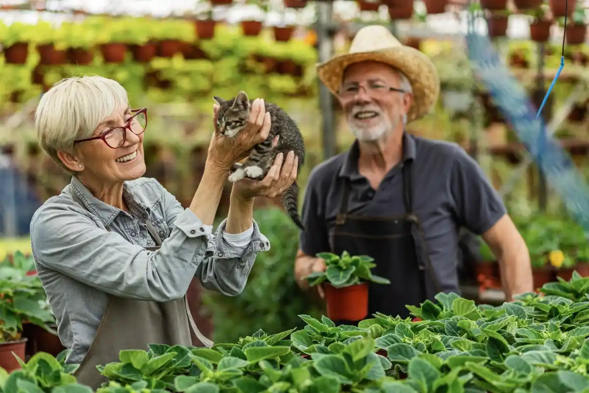happy dutch senior working in a greenhouse