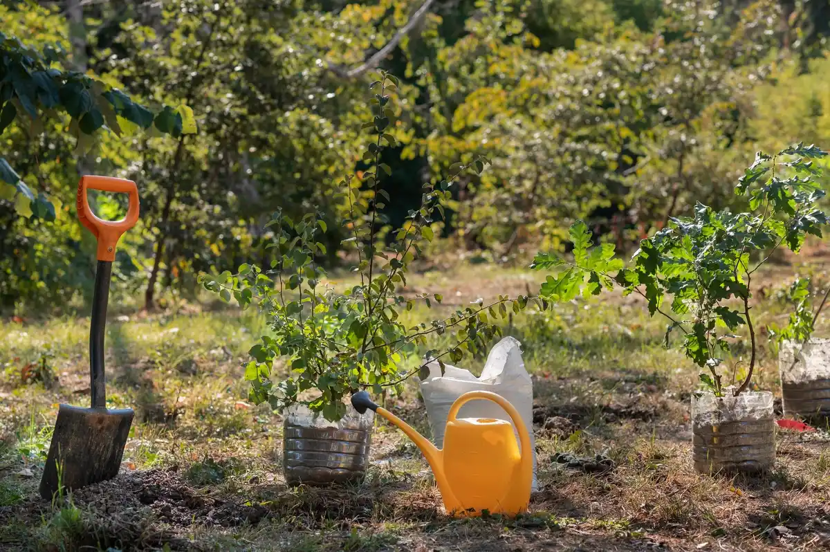 Garden hack for fruit trees Netherlands