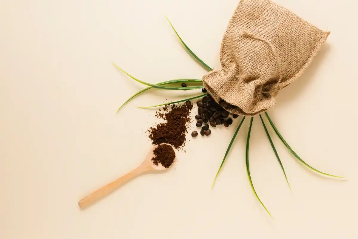 coffee grounds on soil with green plants