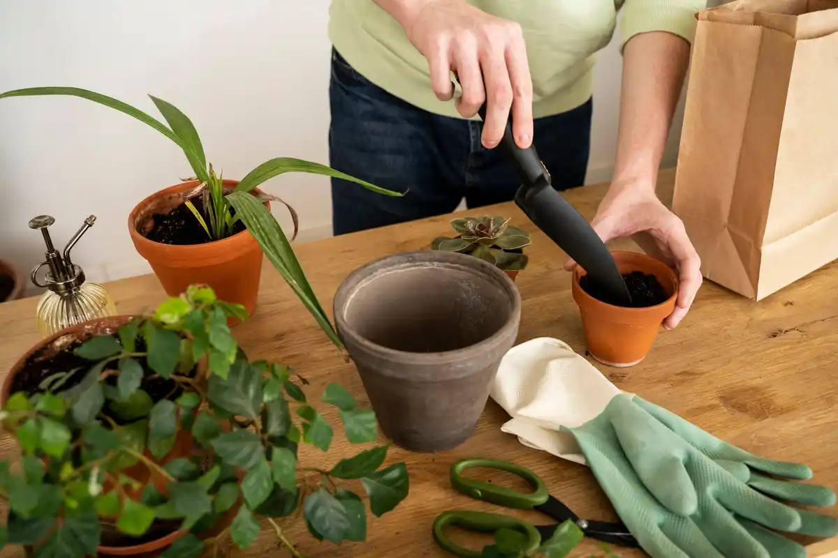 DIY organic plant fertilizer dutch garden