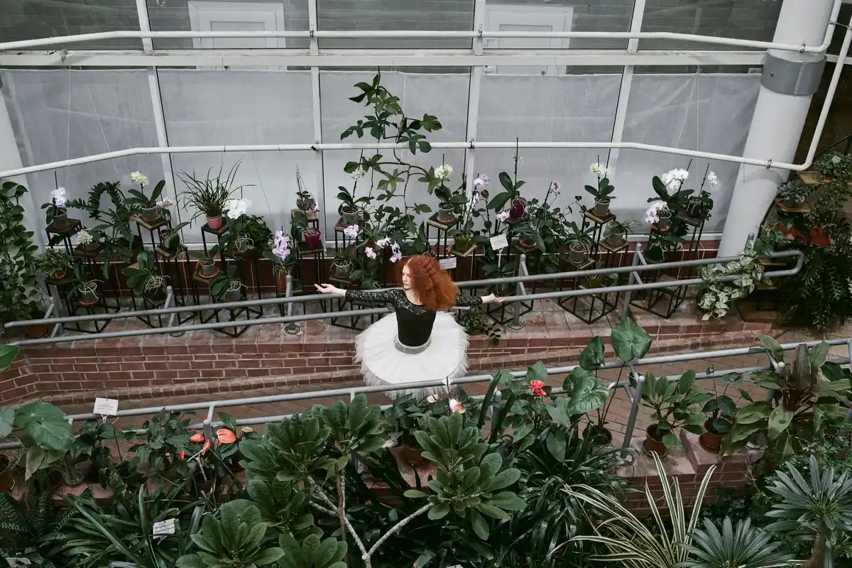 dutch glass greenhouse urban backyard