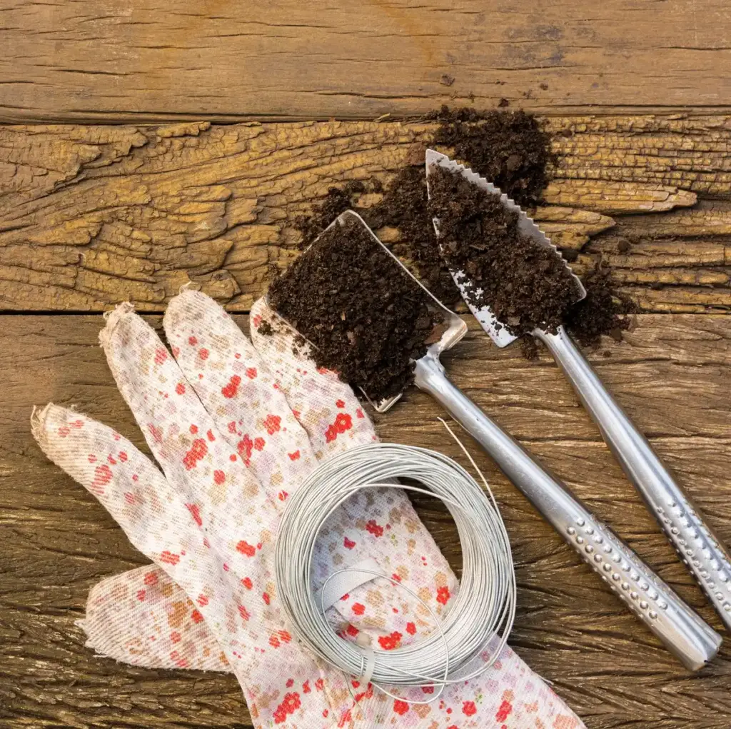 freezing seeds before planting garden dutch