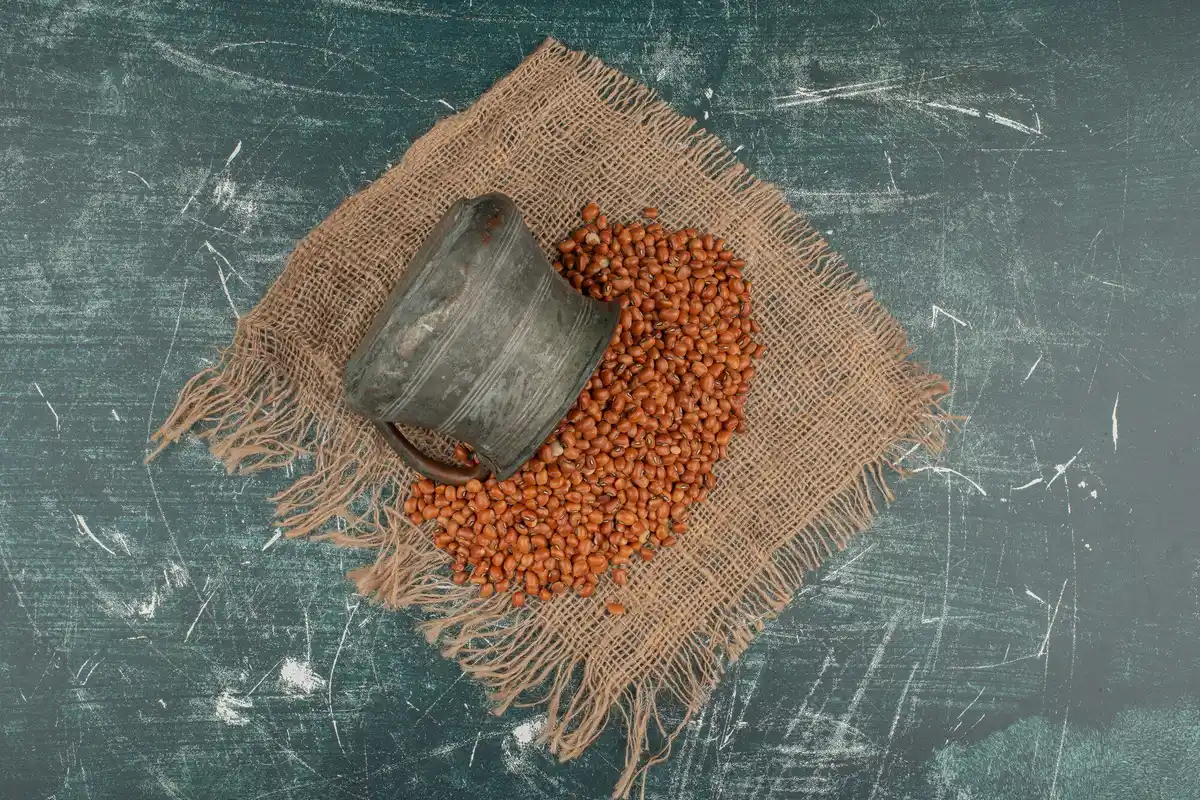 old seeds sprouting kitchen trick
