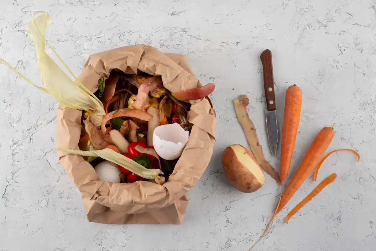 composting food scraps in Dutch home garden
