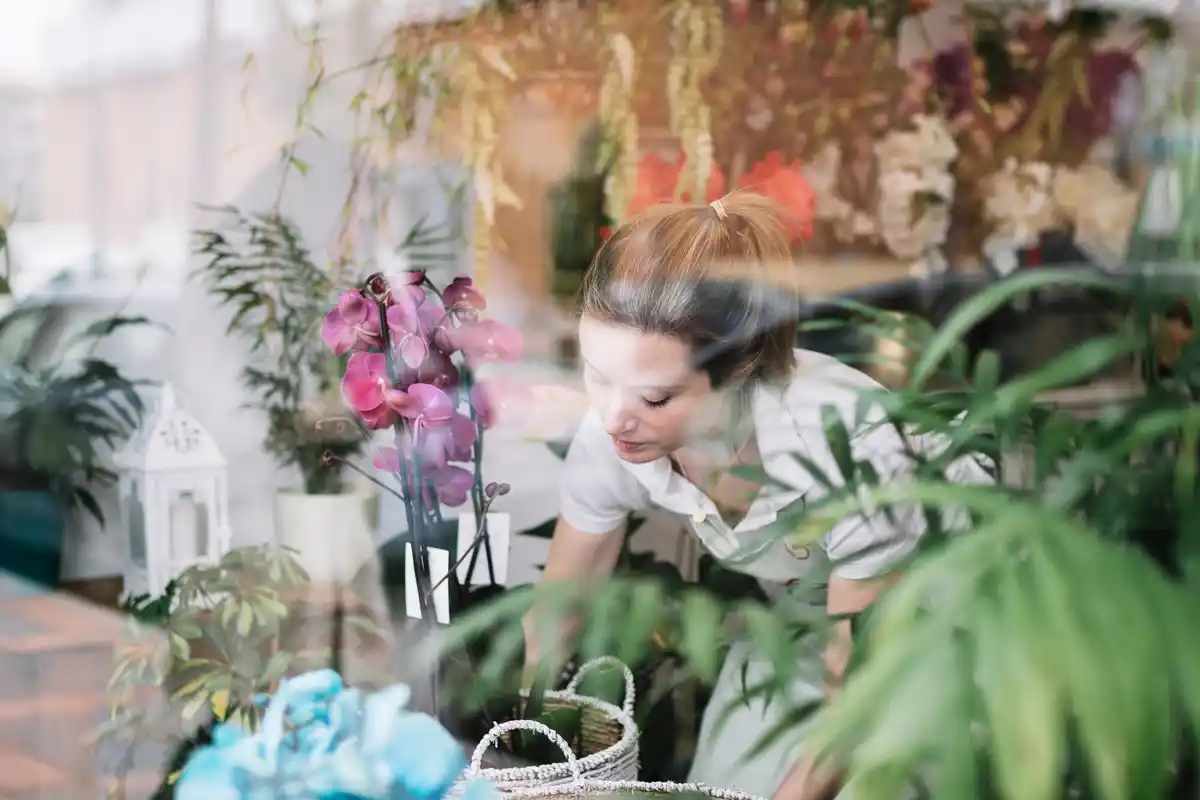 feng shui greenhouse interior plants netherlands