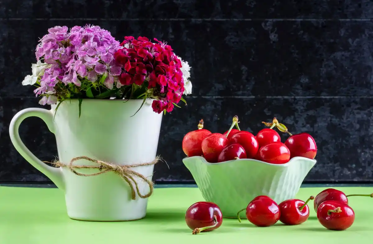 feng shui garden arrangement vegetables decor netherlands
