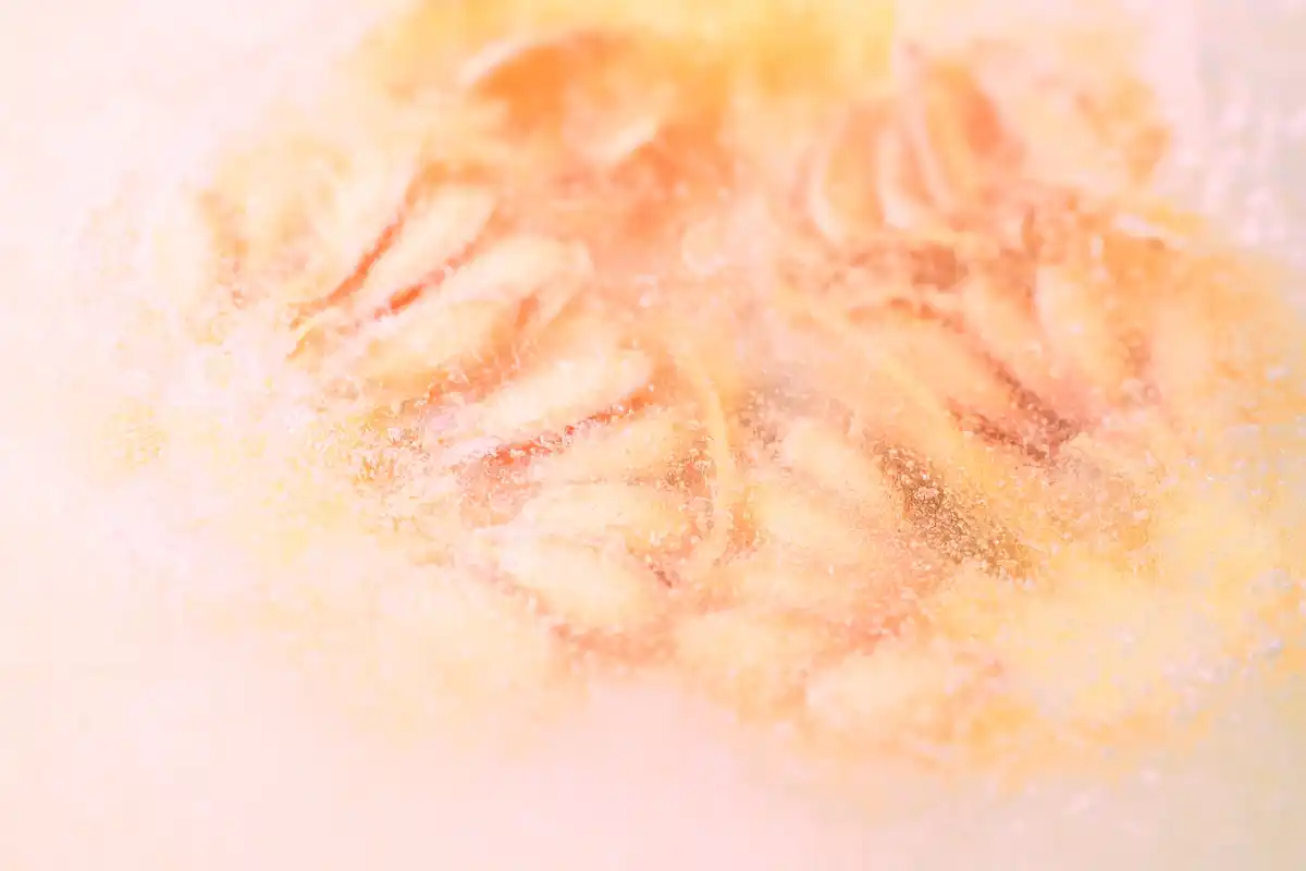 frozen seeds macro shot