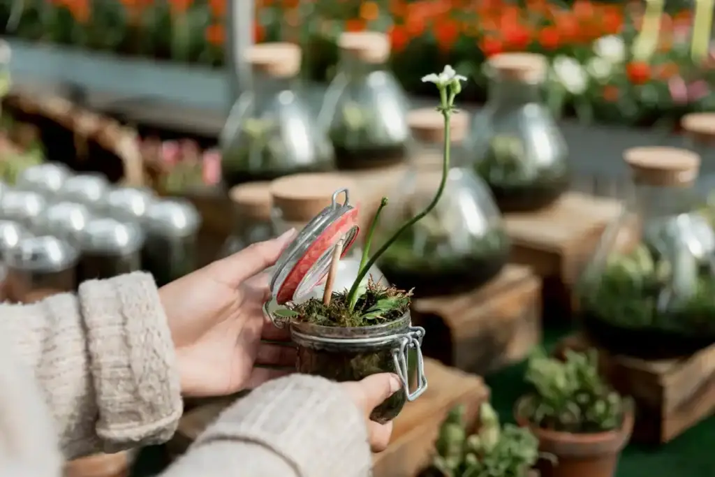 eco friendly seed starting alternatives dutch garden