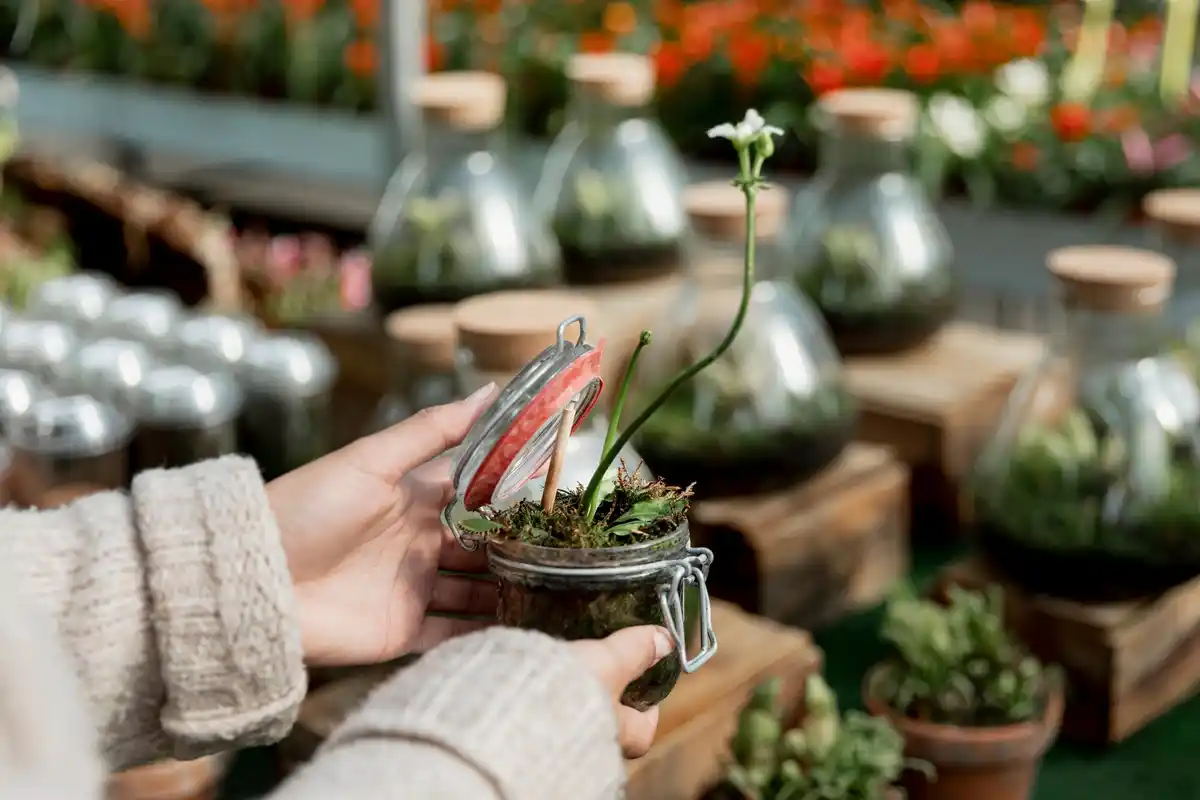 eco friendly seed starting alternatives dutch garden