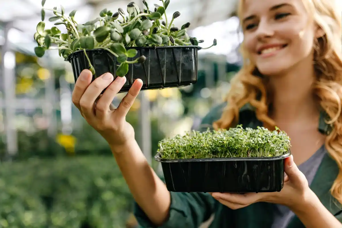 eco friendly seed starting containers in dutch garden