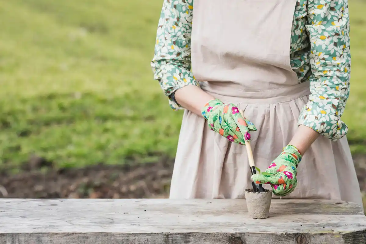 dutch gardener making seed pots from toilet paper rolls