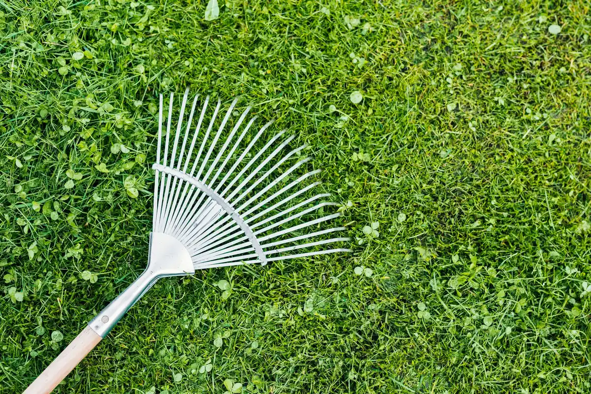 old wooden rake perfect dutch lawn