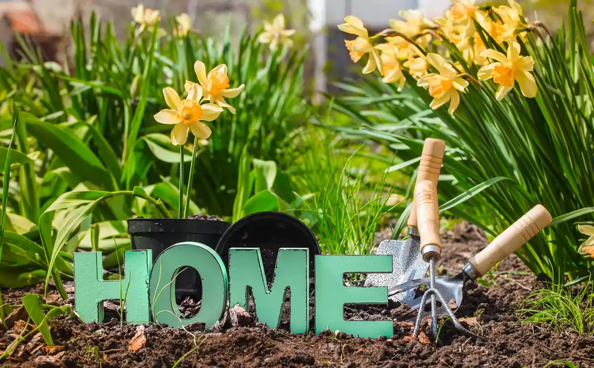 dutch small backyard lawn care spring