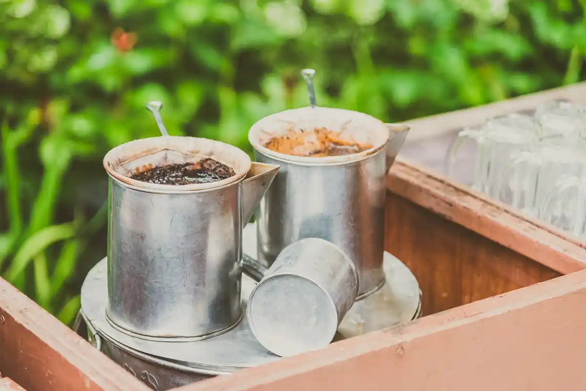 used coffee grounds and young seedlings garden Dutch