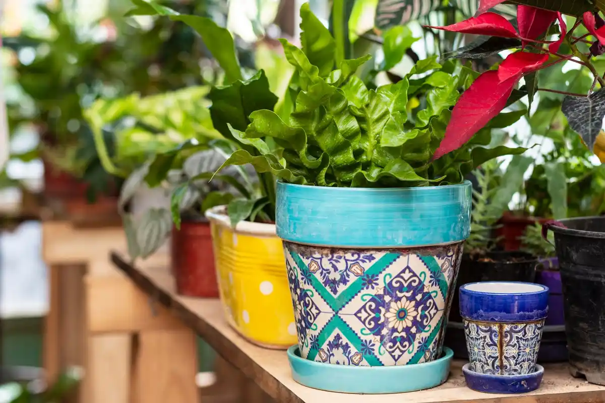 sustainable plant pots natural materials dutch garden terrace