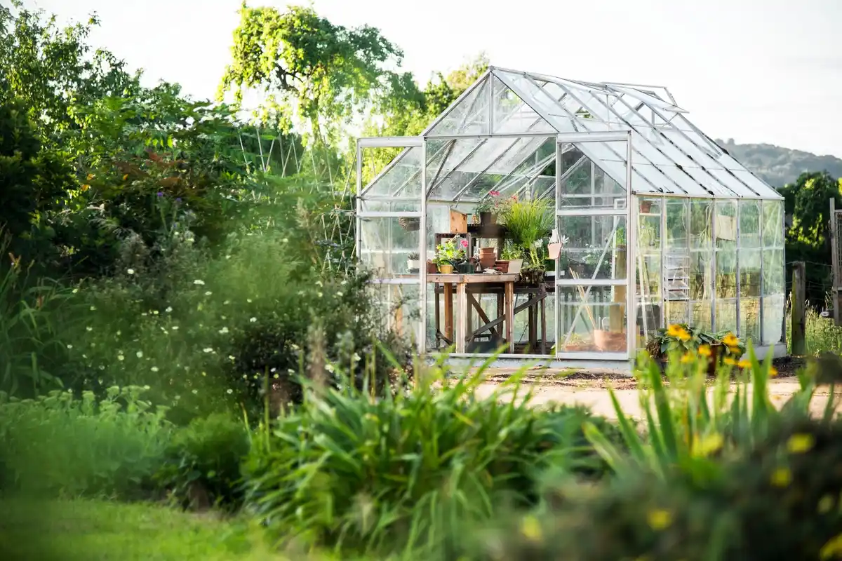 dutch backyard greenhouse sunlight feng shui