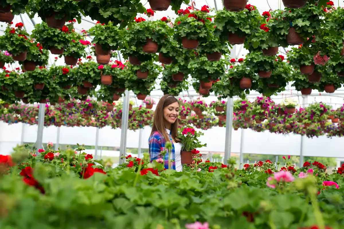 Netherlands urban vertical farming modern hydroponic system