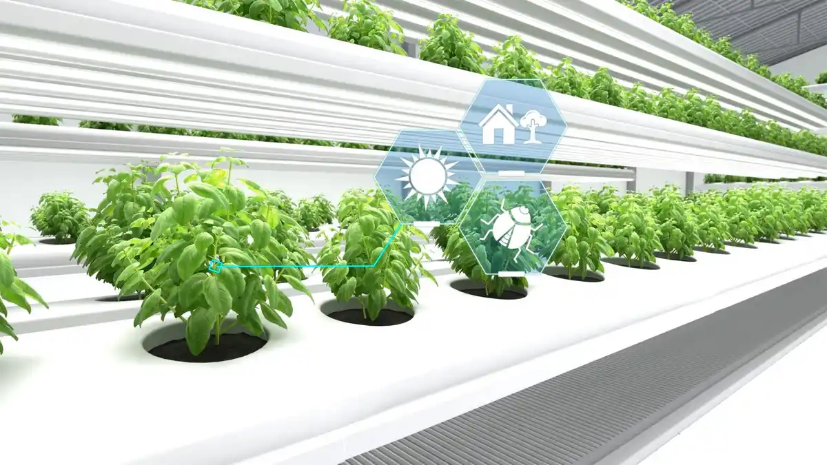 urban vertical farming netherlands digital greenhouse