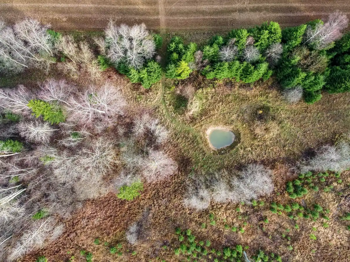 feng shui greenhouse layout aerial
