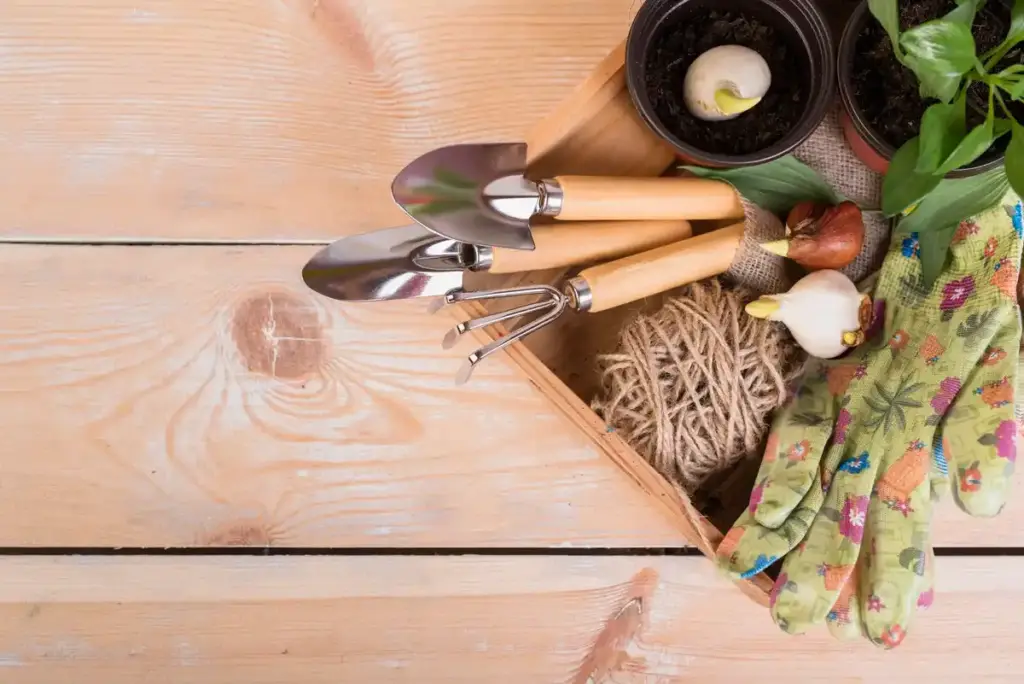 premium Dutch garden tools on wood background