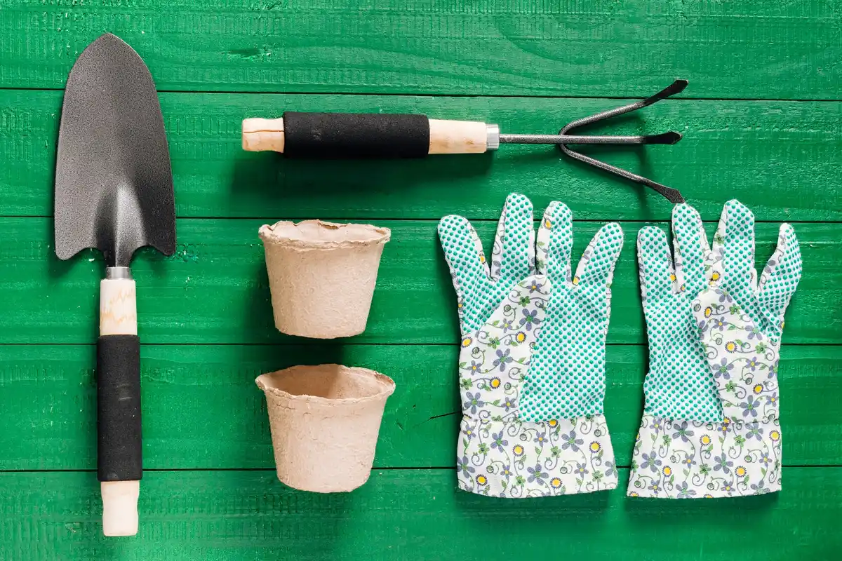 Dutch garden spade high quality tool