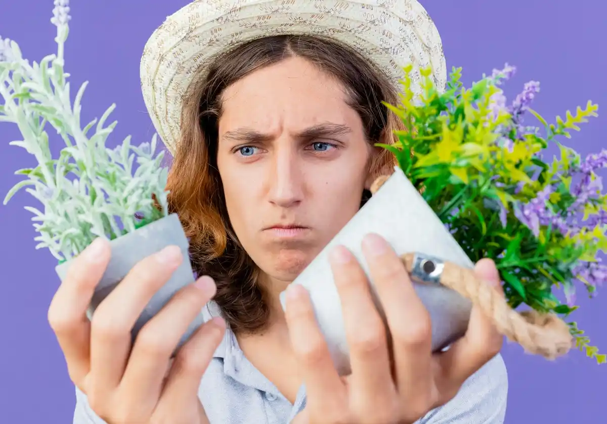 fake rare flower seeds scam online