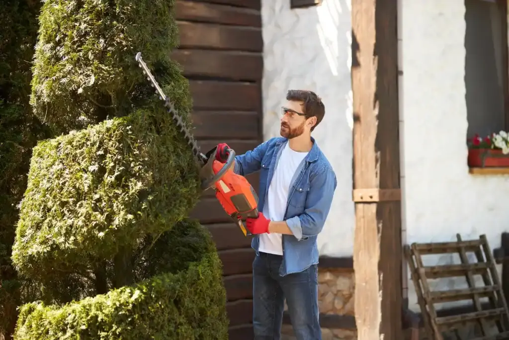 magnetic garden tools in use Netherlands backyard