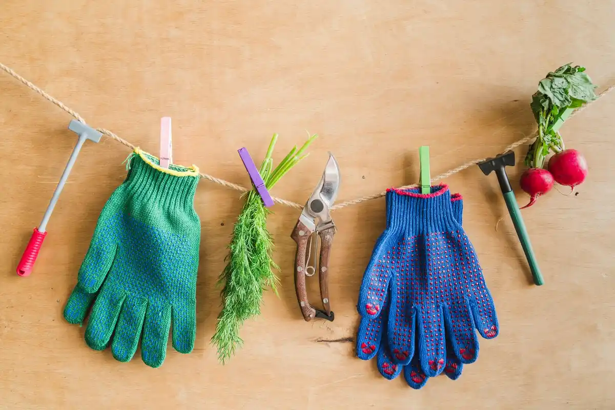 magnetic garden tools neatly arranged in Dutch backyard