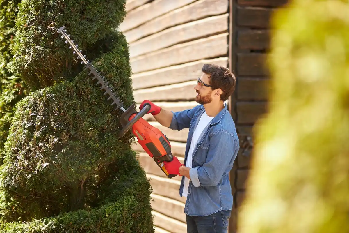 Dutch gardener using magnetic tools by a wooden fence, spring sunlight