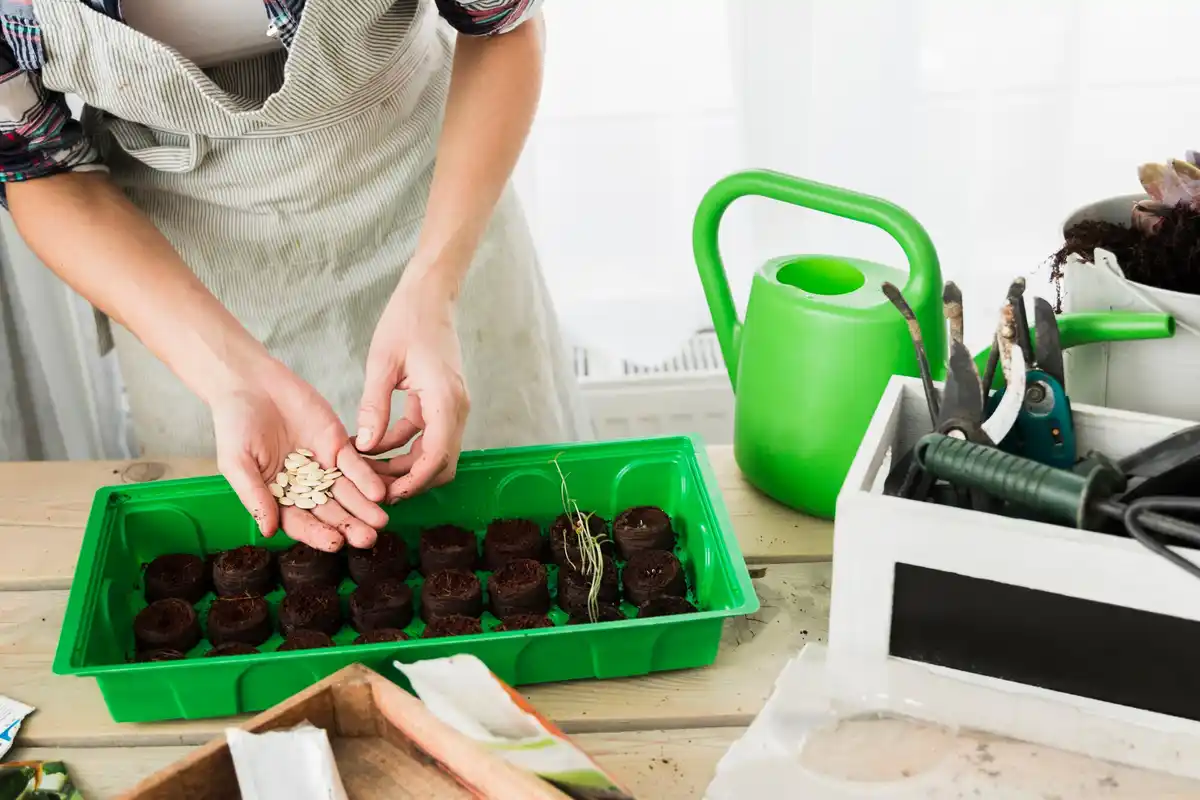 homemade seed starter kits with everyday items