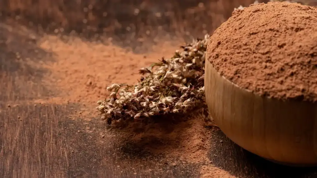 cinnamon powder sprinkled on indoor plant soil closeup Dutch home