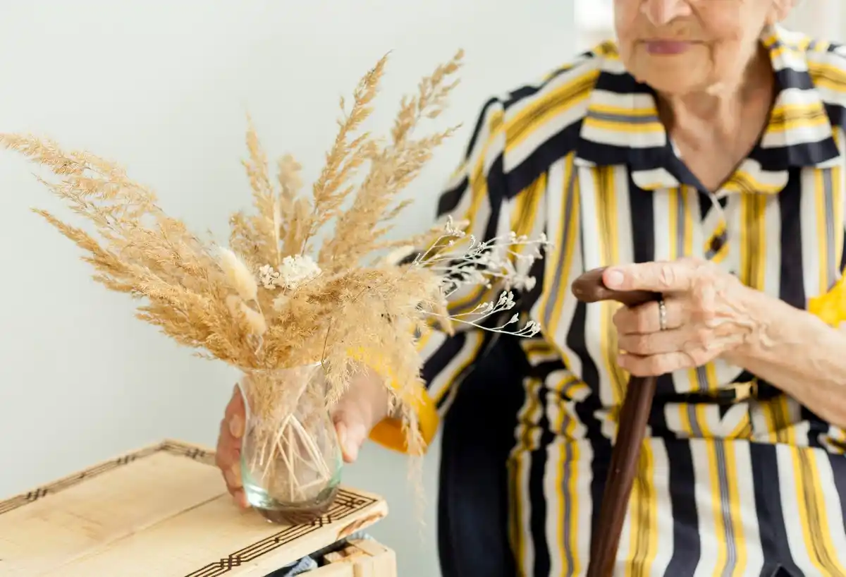 senior hands adding cinnamon powder to potted plant Dutch home