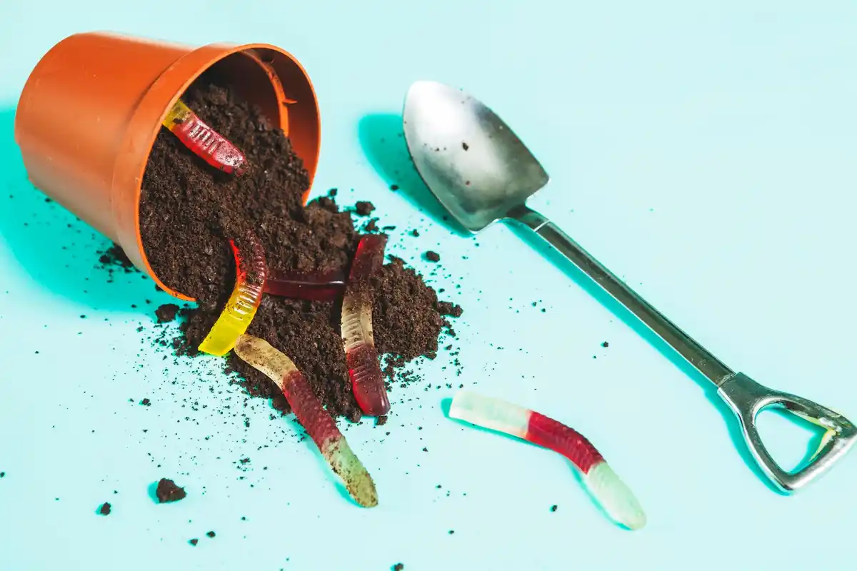 coffee grounds compost urban garden