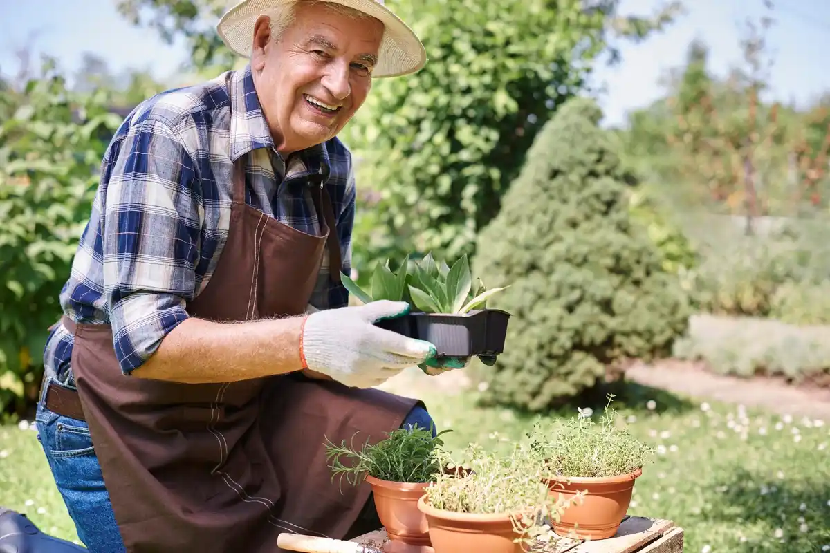 senior gardener with ergonomic tools in Dutch garden