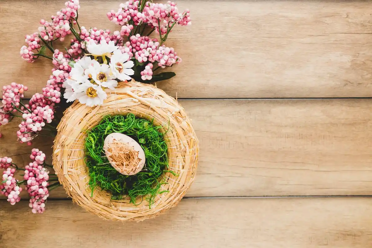 egg shells in garden with roses