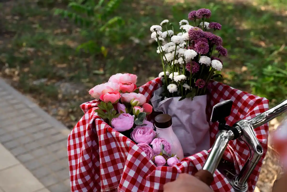 pouring beer on roses in Dutch garden