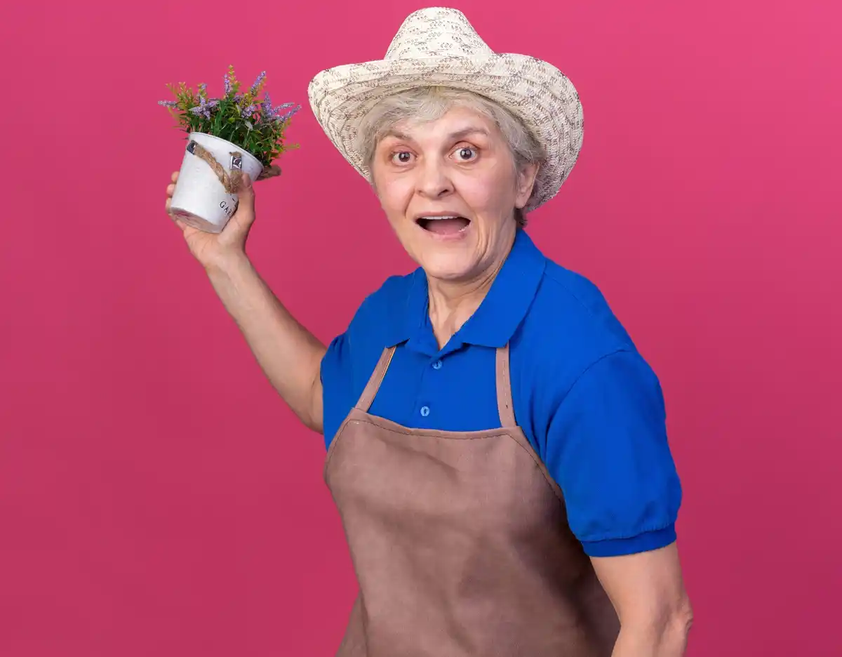 old Dutch grandmother watering roses with beer