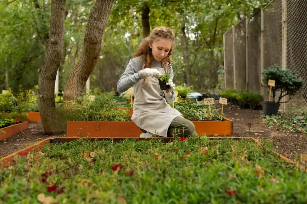 Dutch urban garden compost bin vegetable