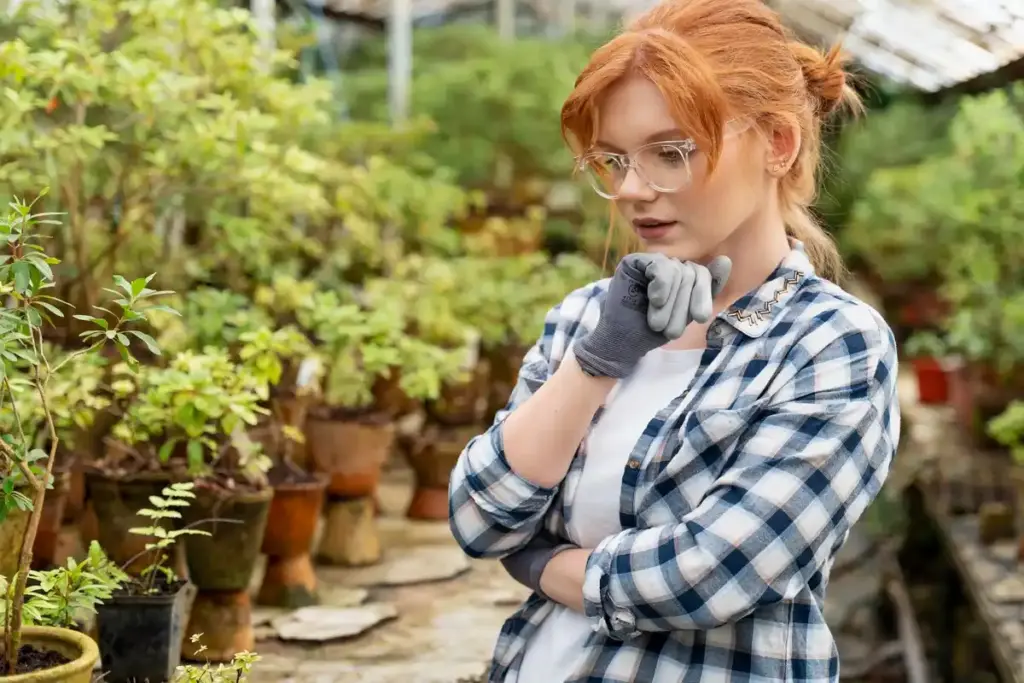 sunny Dutch garden greenhouse mistake