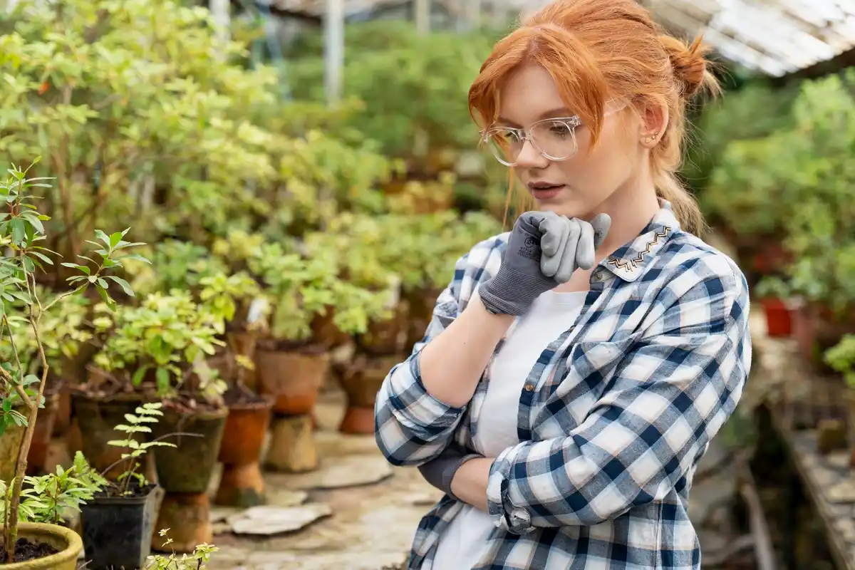 sunny Dutch garden greenhouse mistake
