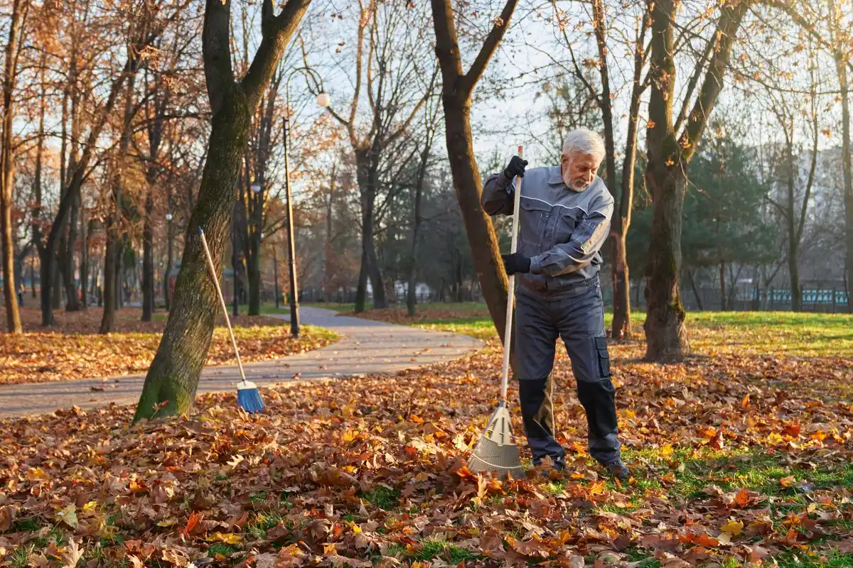 elderly man mowing lawn old-fashioned manual mower netherlands