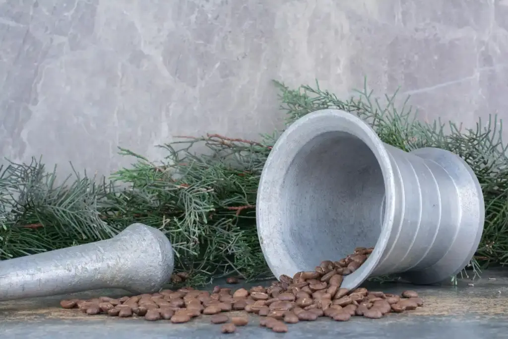 coffee grounds as plant fertilizer dutch home garden