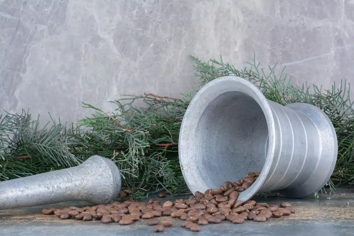 coffee grounds as plant fertilizer dutch home garden