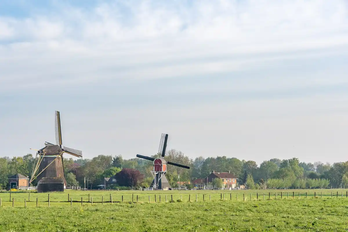 dutch greenhouse with strong winds