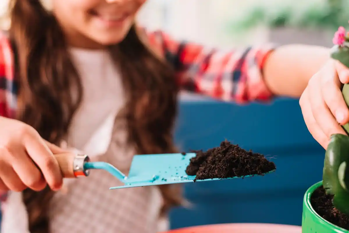 coffee grounds garden fertilizer dutch backyard
